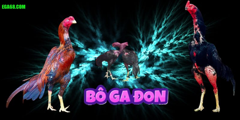 Vì Sao Nên Chọn Gà Đòn Tại Ega68